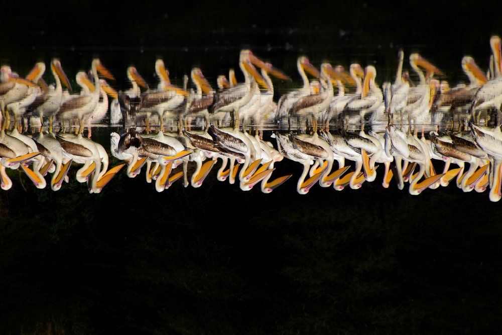 Photograph by Jigar Chauhan