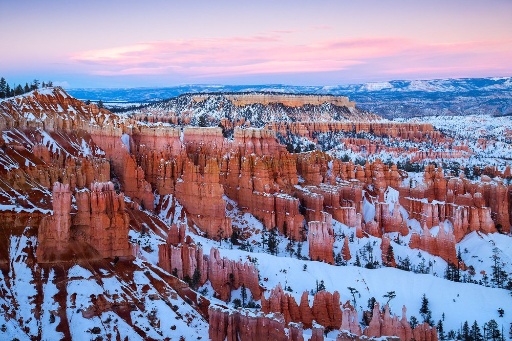 Photograph by Lana Anferow