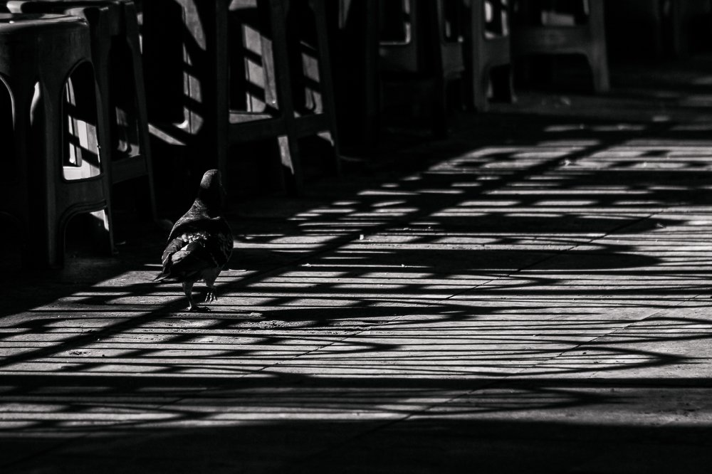 Photograph by David Hernández