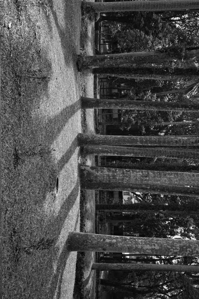 Photograph by ahmad sulhan