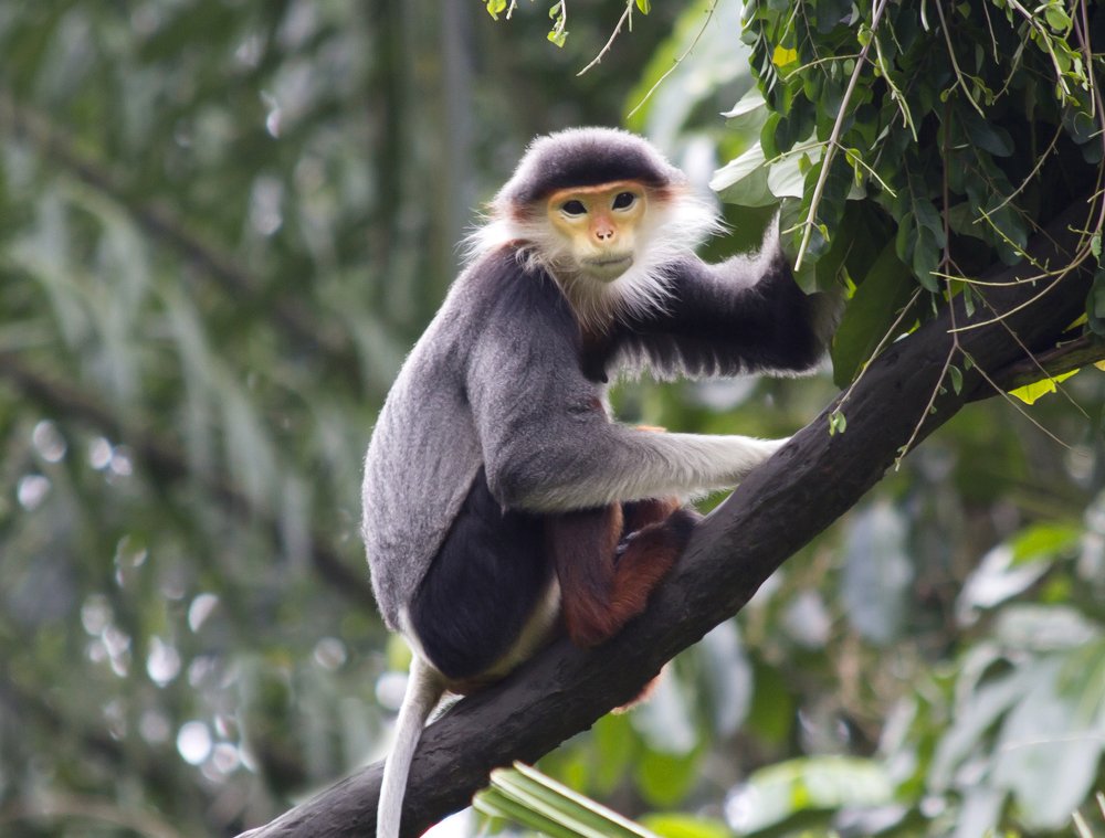 Photograph by Савина Галина