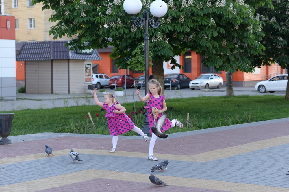 Photograph by Усачева Юлия