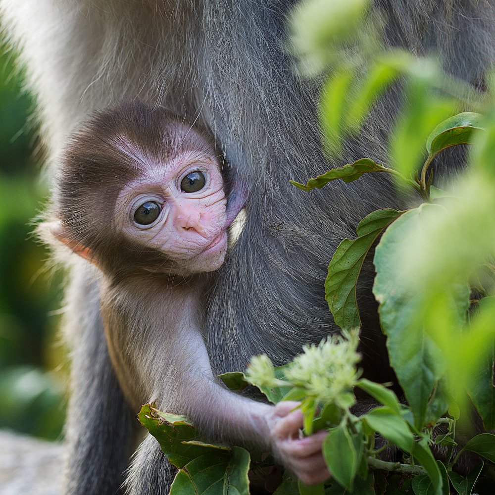 Photograph by Quang Nguyen