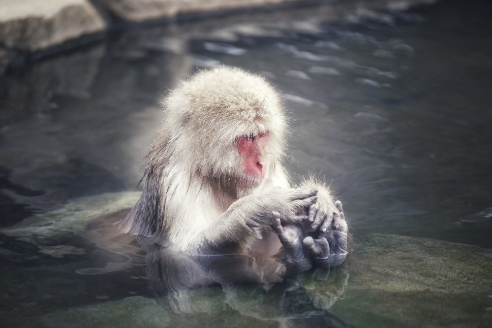 Photograph by Carlos Asensio Pizarro