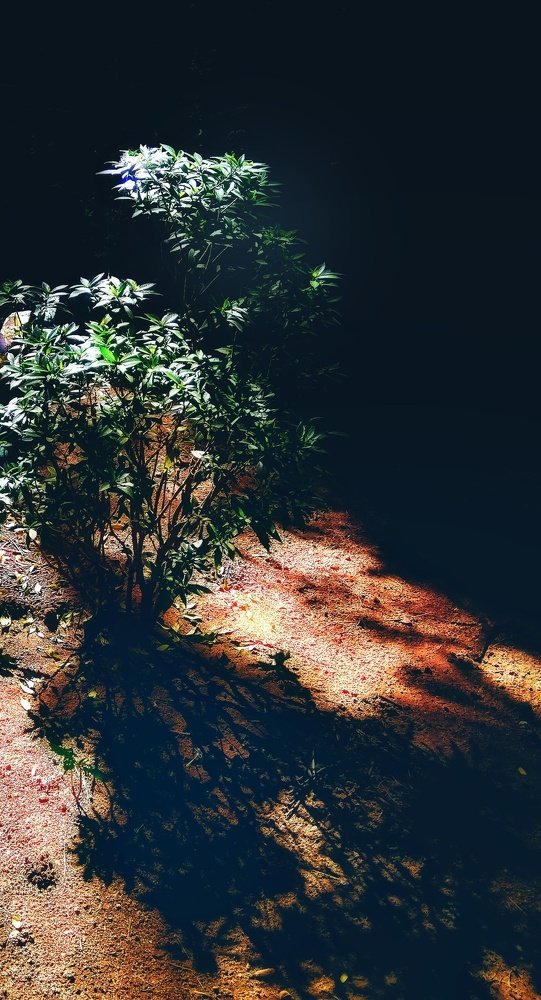 Фотография автора Parag Purkar