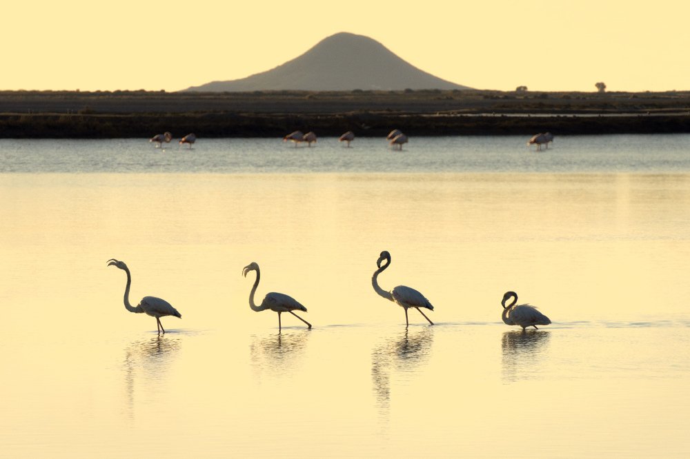 Photograph by Людмила Сиденко