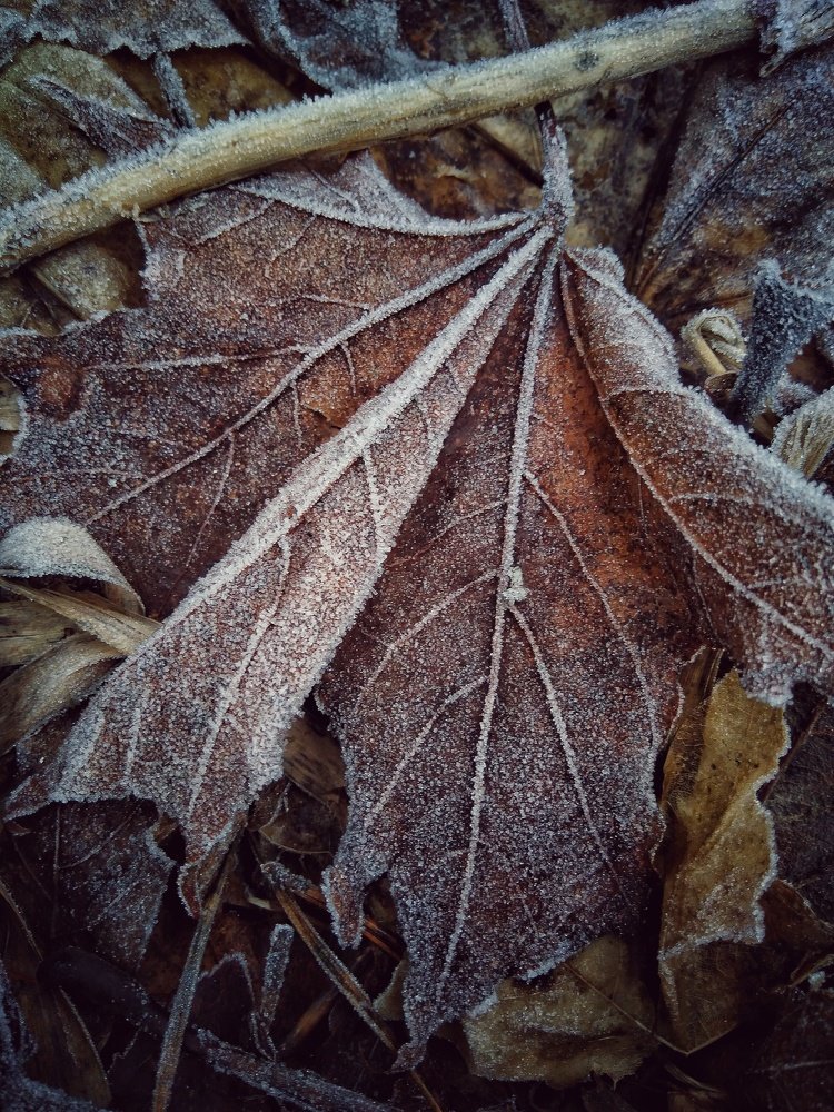 Фотография автора Виктор Конев
