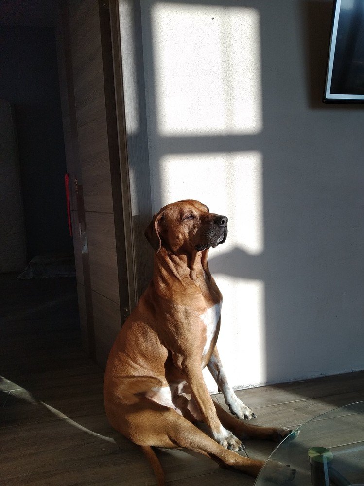 Photo #4150480