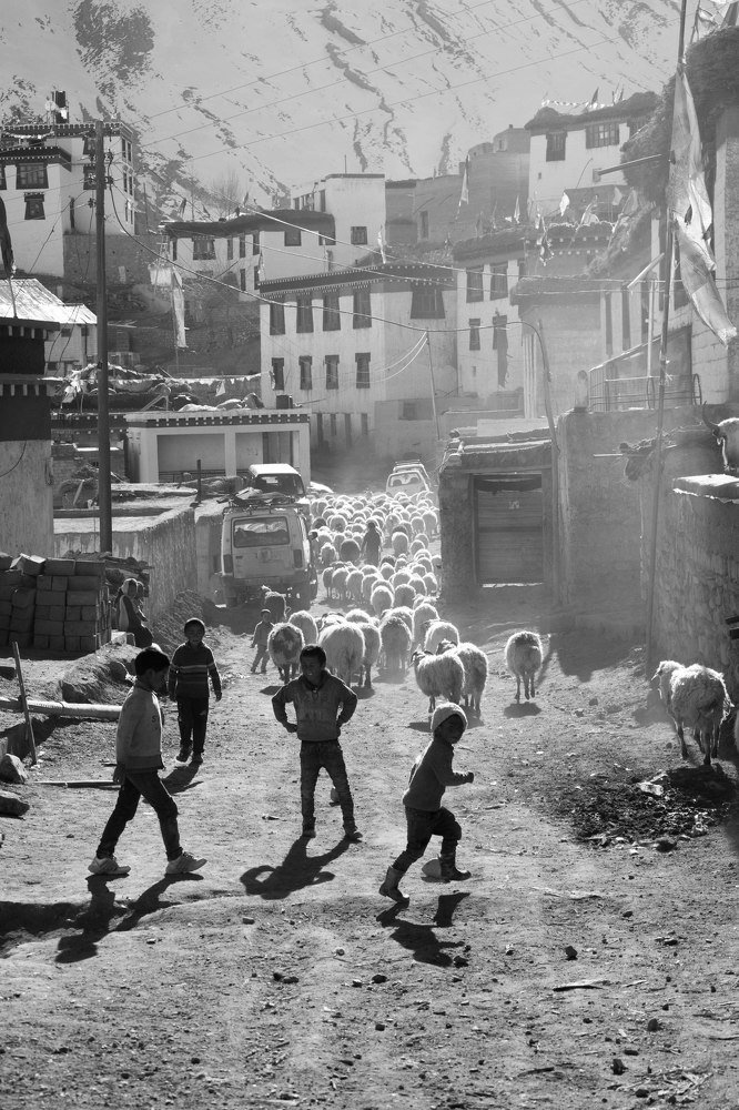 Photograph by Rishabh Paliwal