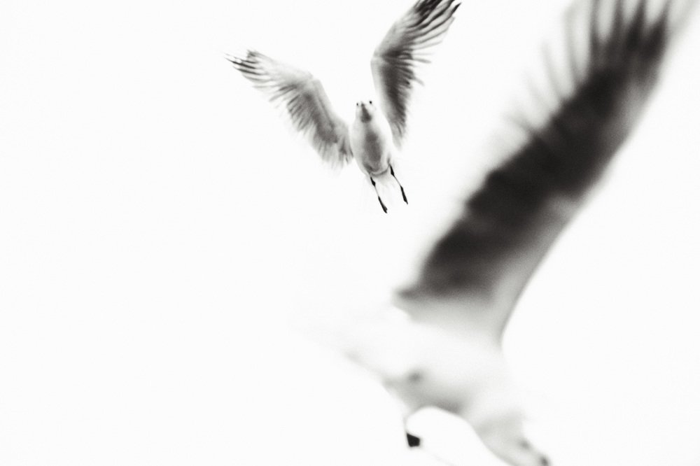 Photograph by Алексей Аксёнов