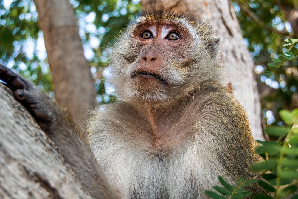 Photograph by Лапенкова Ольга