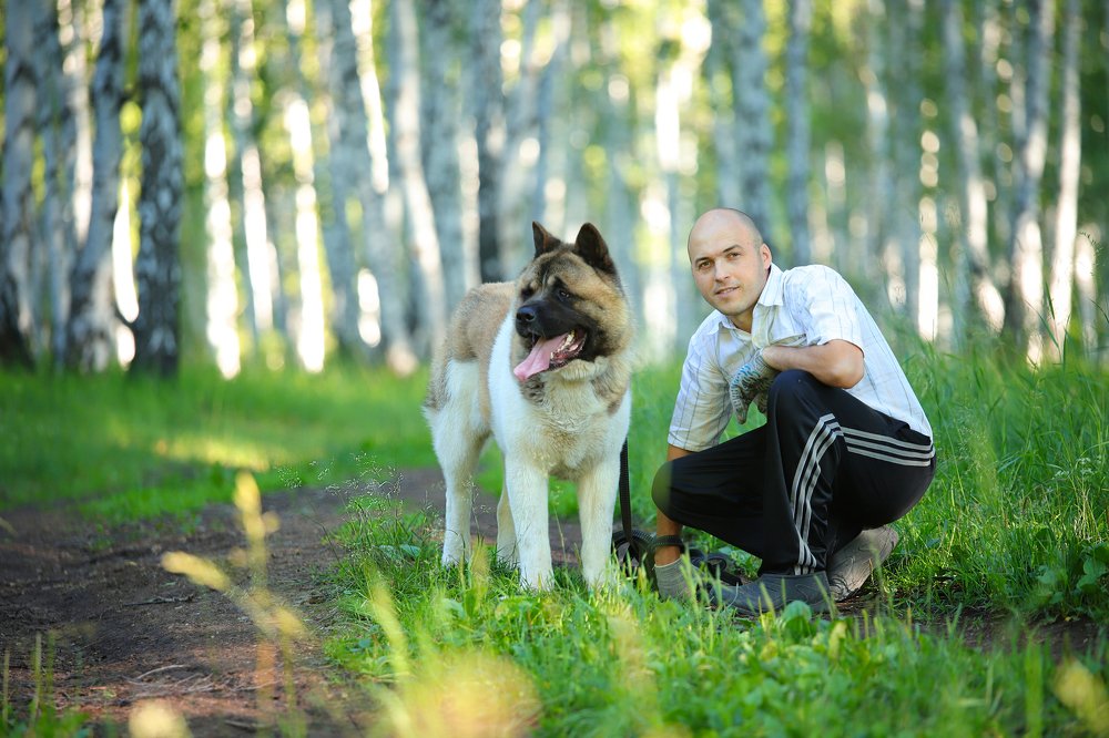 В лесу прогулка с другом