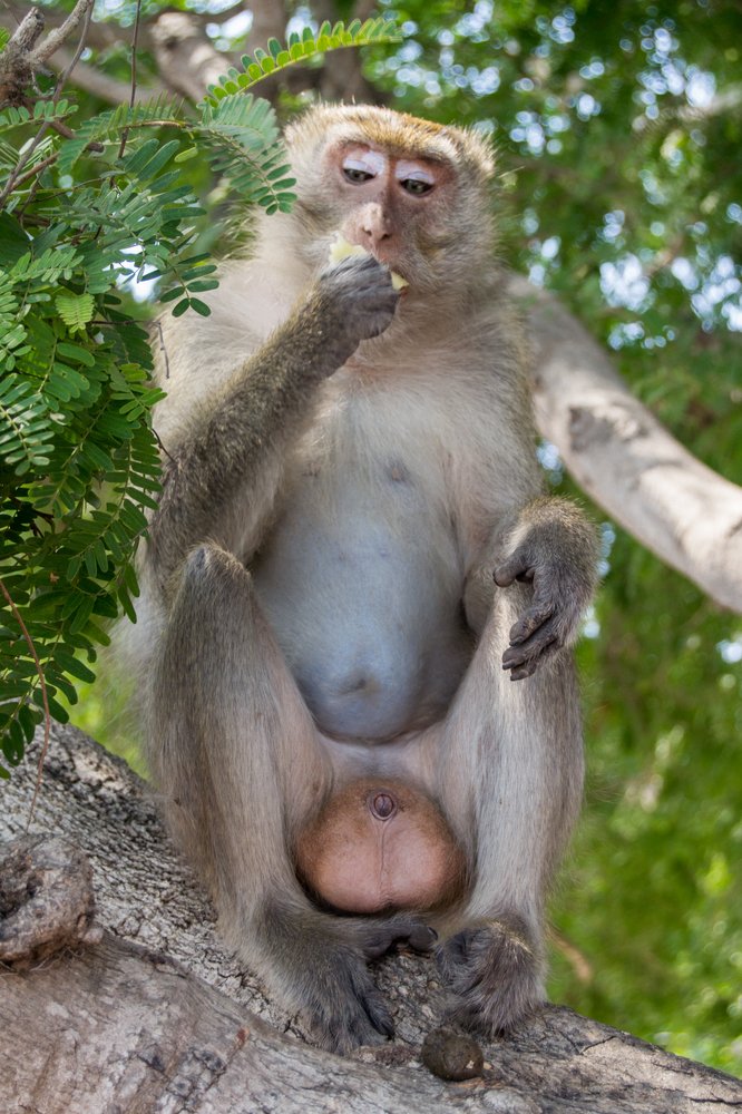 Photograph by Лапенкова Ольга