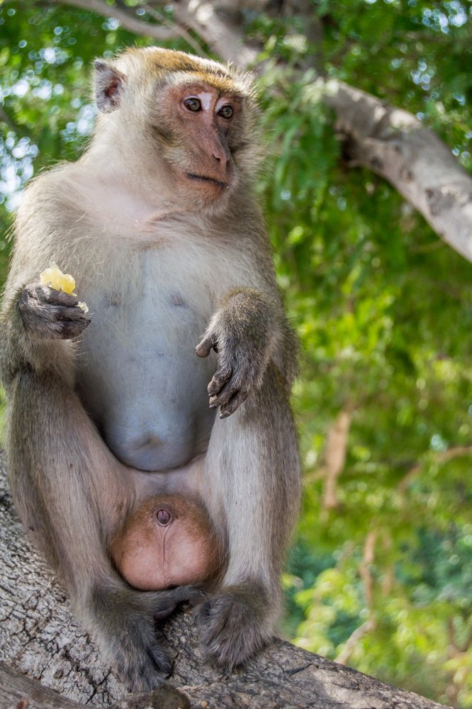 Photograph by Лапенкова Ольга