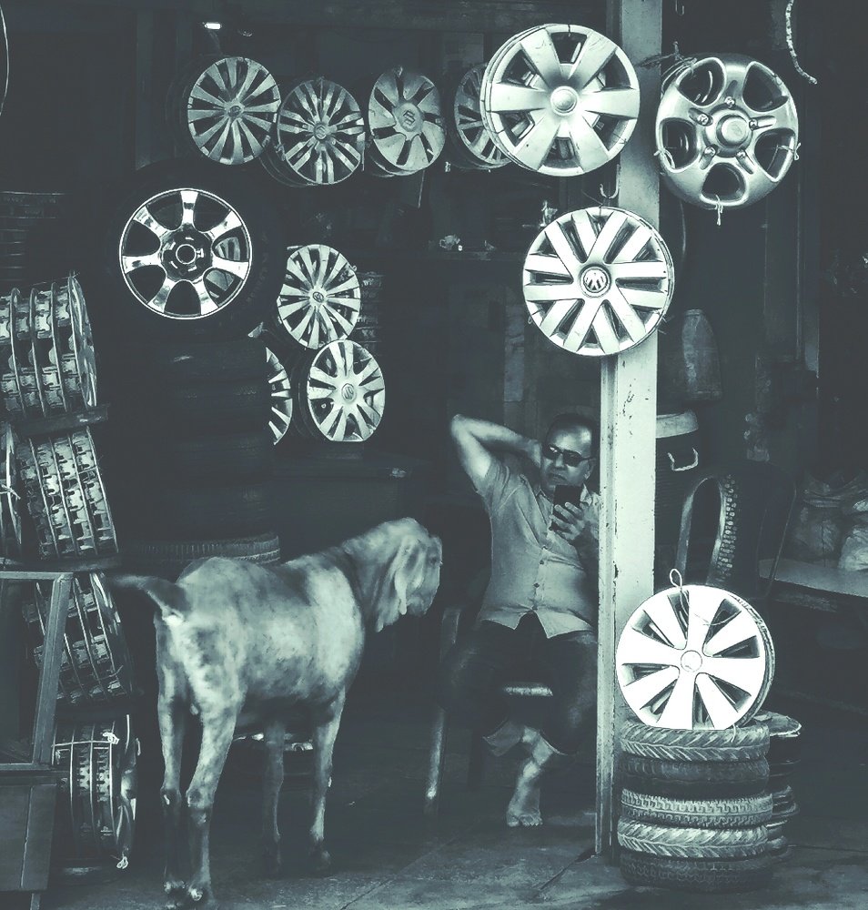 Photograph by SAYARI BANERJEE