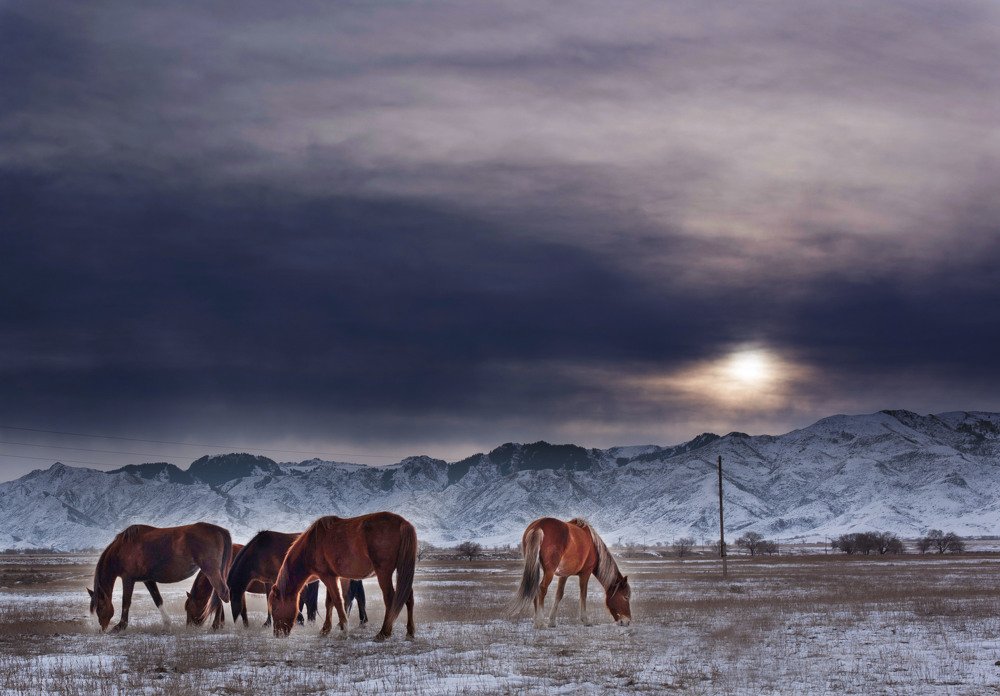 Photograph by Анна Чурсина