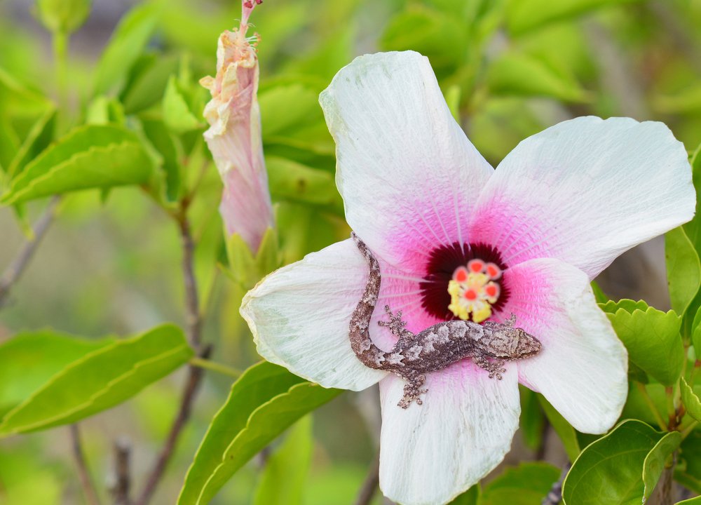 Photograph by Анна Чурсина