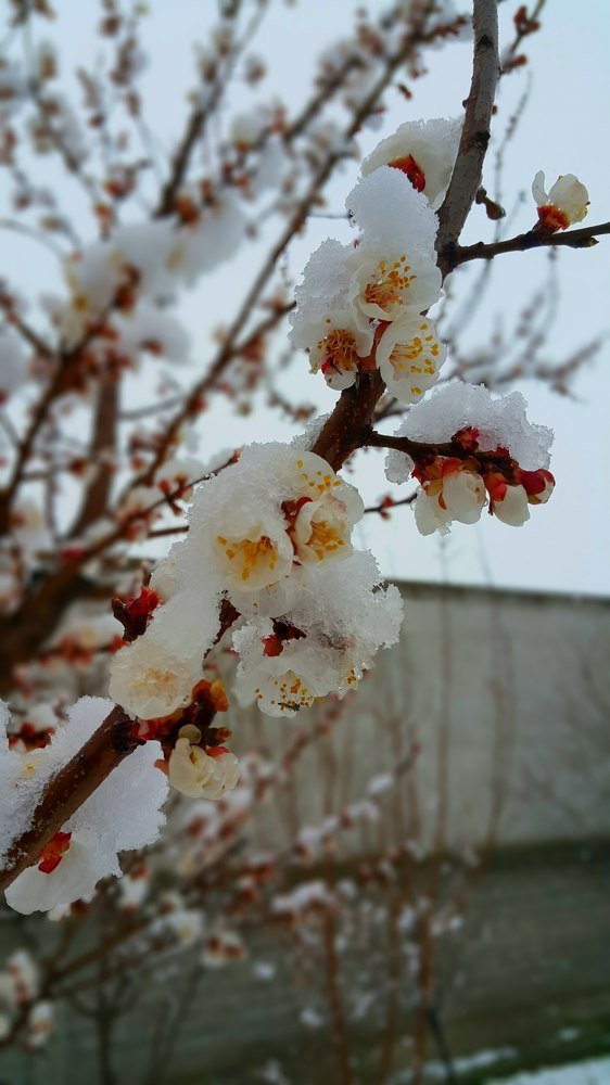 Photograph by Аделина Байбуриева