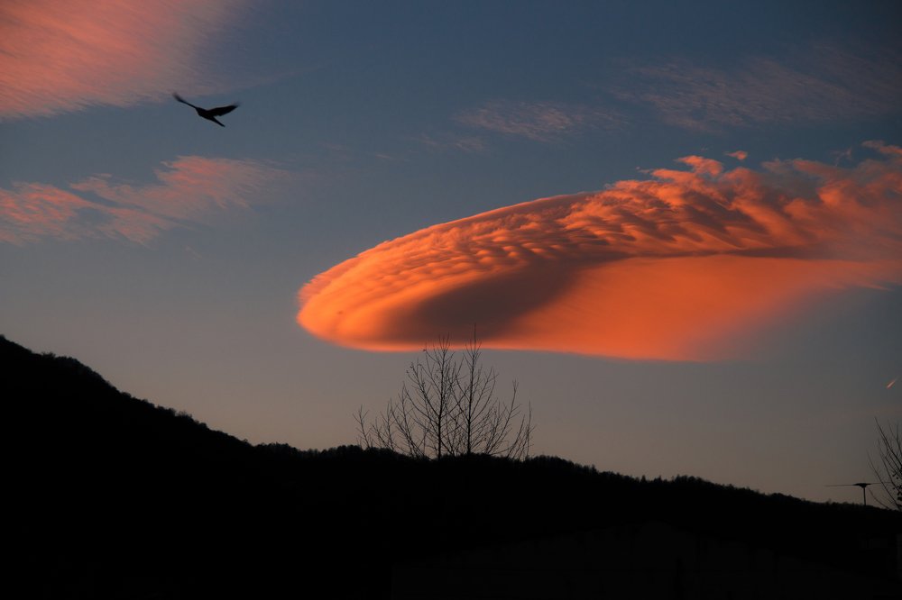 Photograph by Navid Tahmasbi