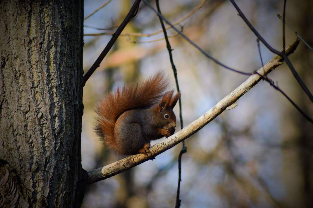 Photograph by Sabina Żmija