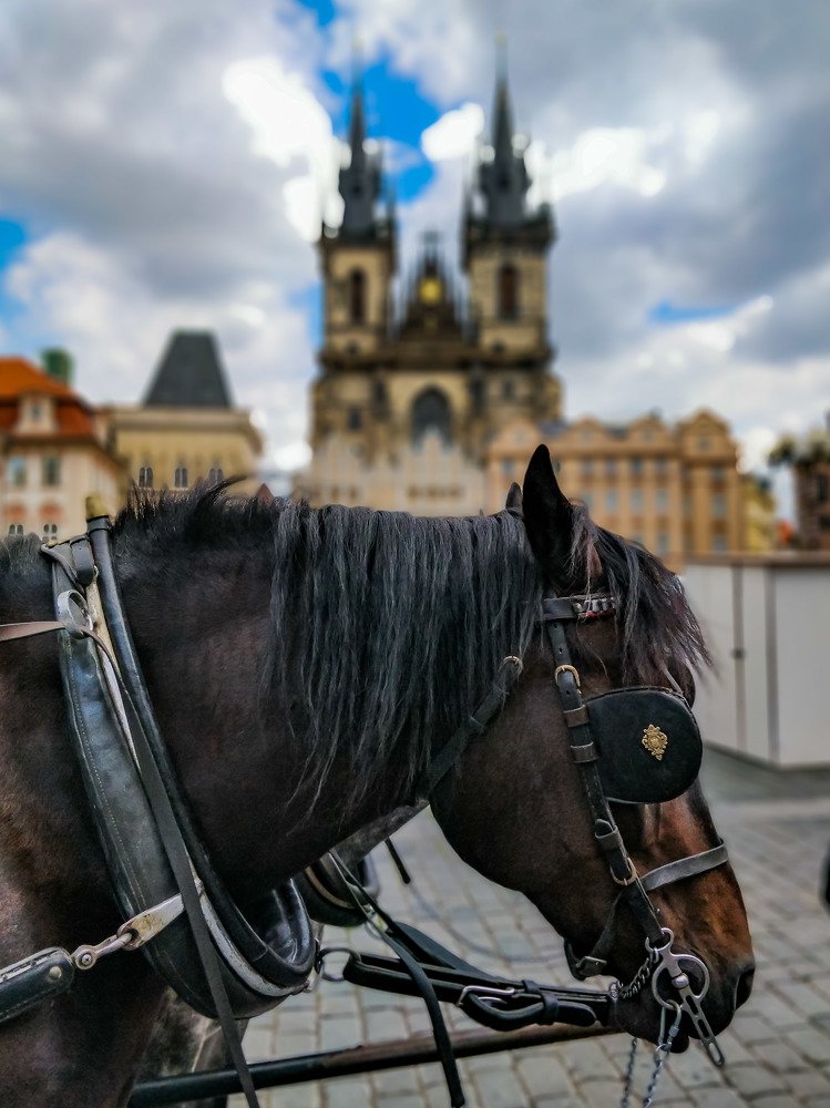 Photograph by Preetham Acharya