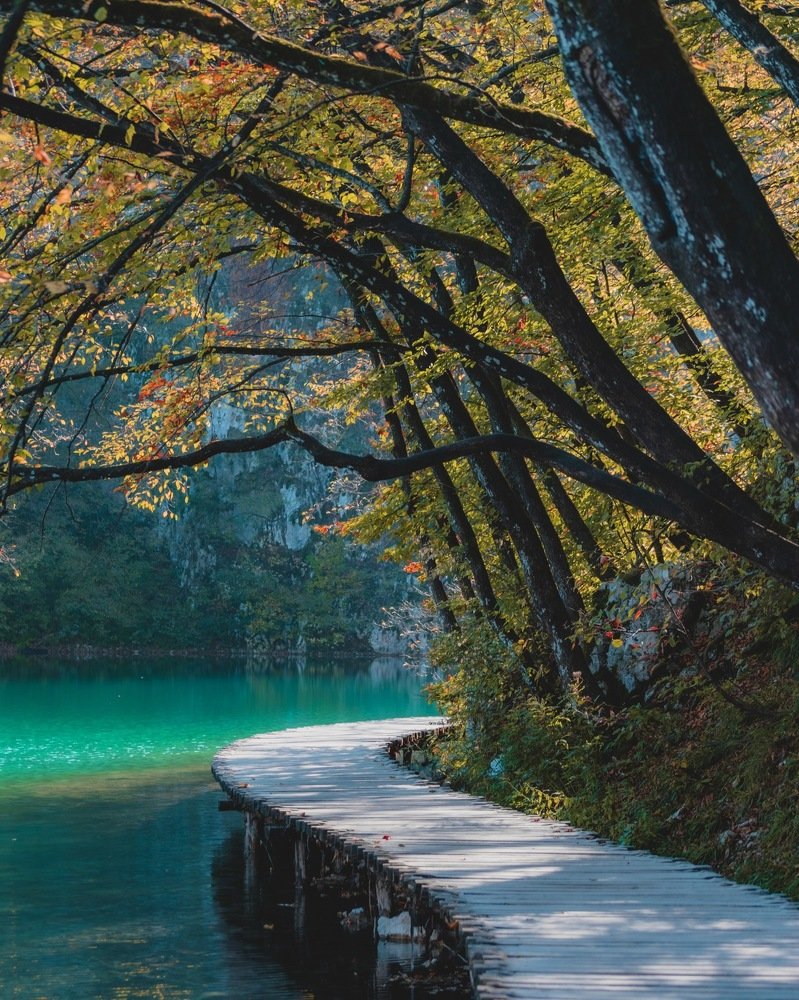 Playground of the fairies