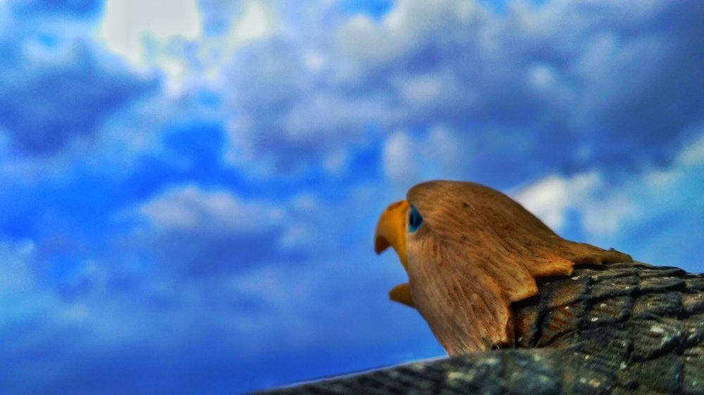 Фотография автора Parag Purkar