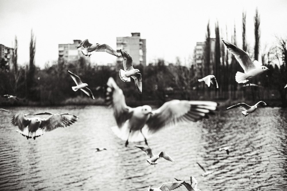 Photograph by Алексей Аксёнов