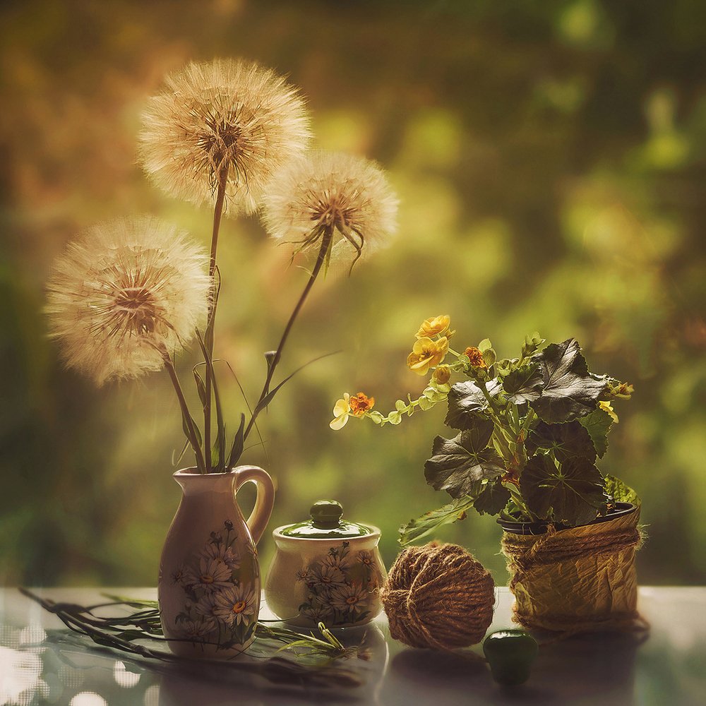 Photograph by MVO (Марк Орлов)