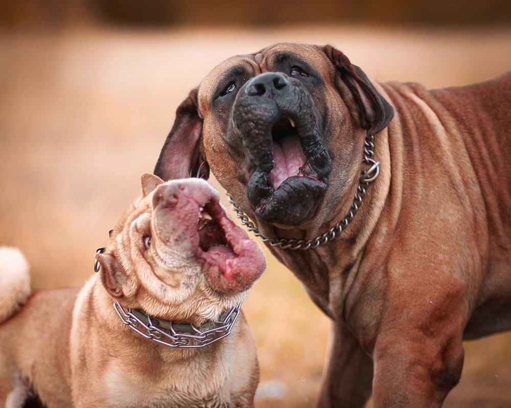 Photograph by Александра Аксенова