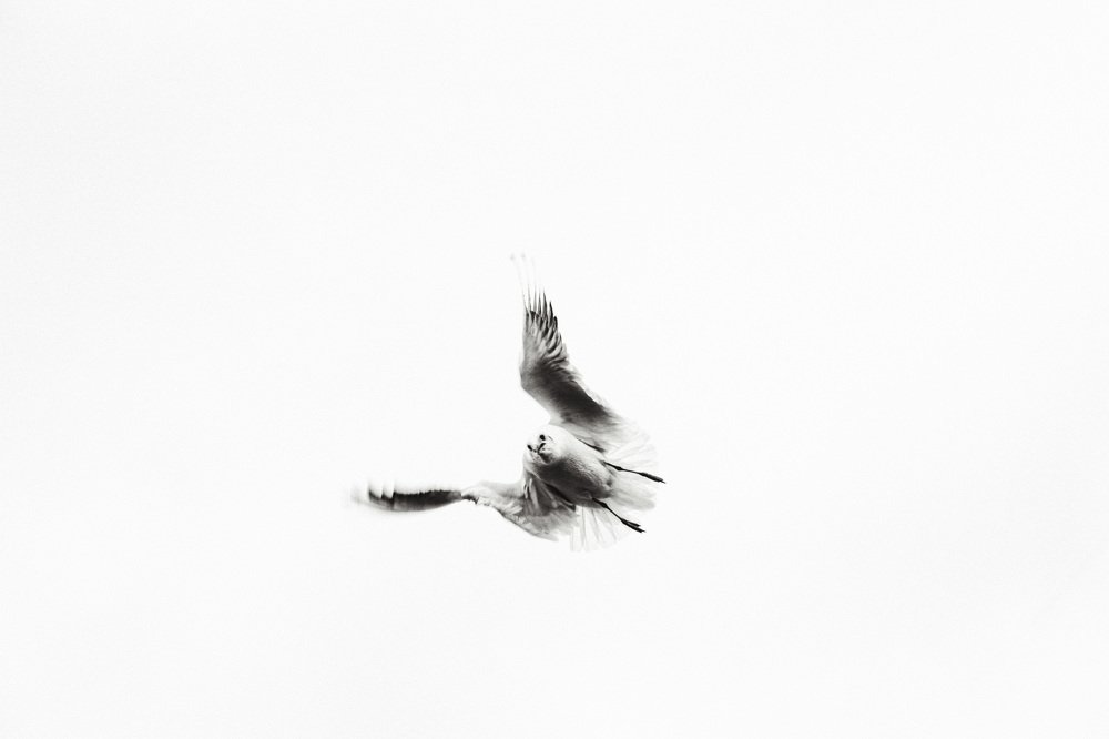 Photograph by Алексей Аксёнов