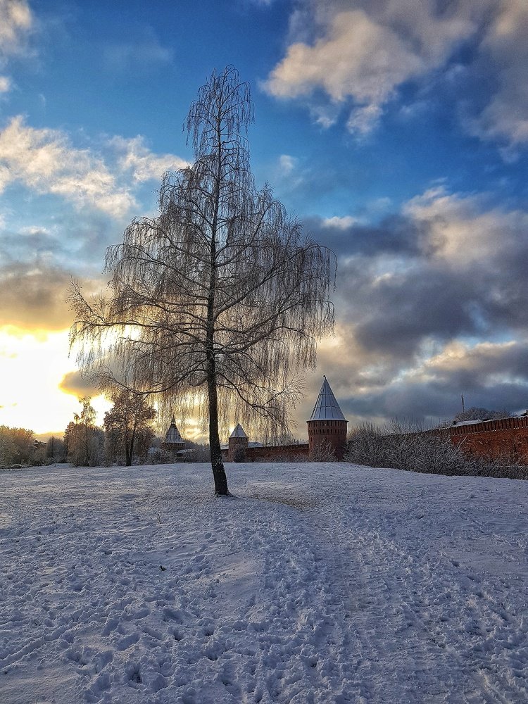 Photograph by Марина Колумб