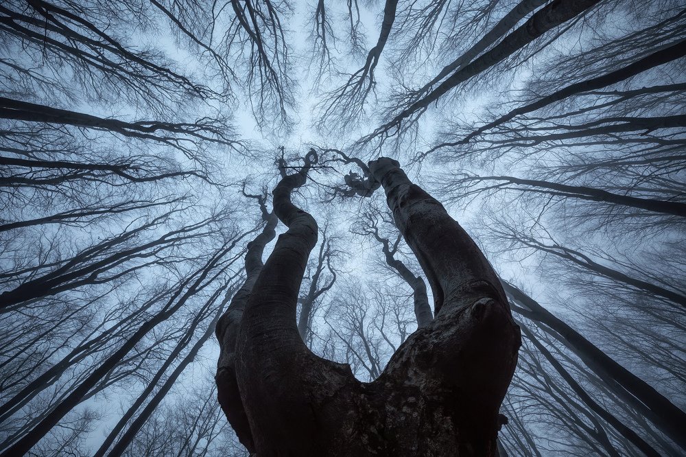 Photograph by Костадин Маджаров