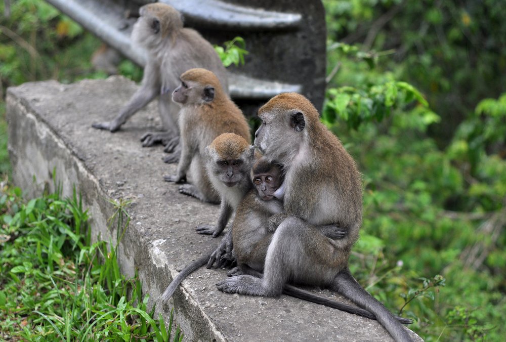 Фотография автора photograph Umar abdi