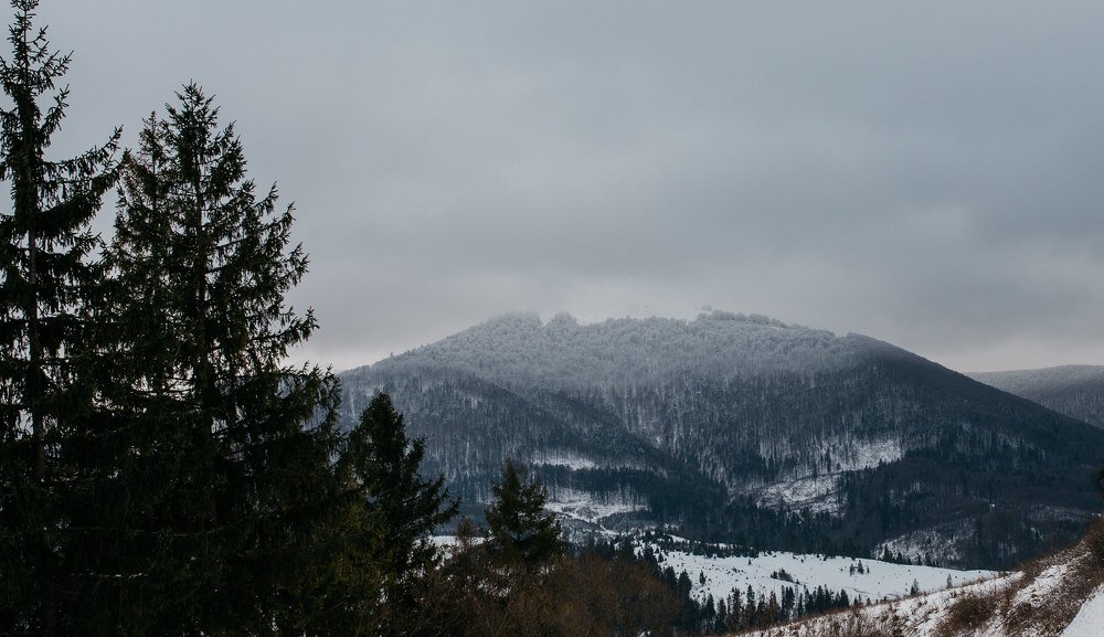 Фотография автора Ирина Меркуленко