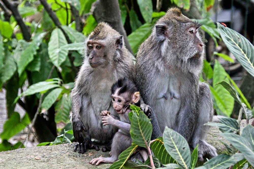 Photograph by Пётр Шевелько