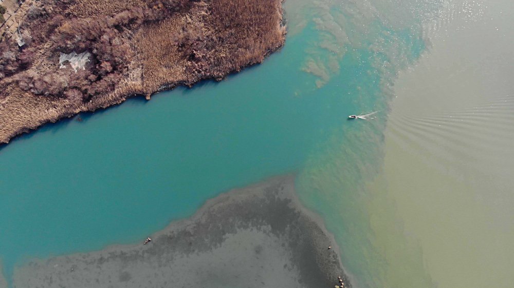 Photograph by Алексей Пожаренко