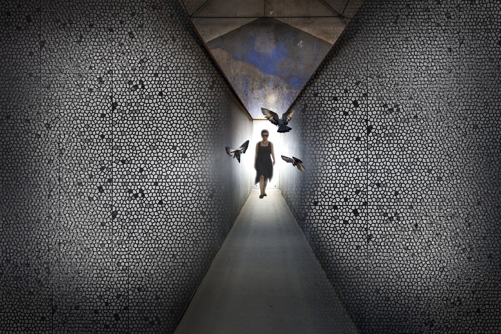 Фотография автора Ramiz Şahin