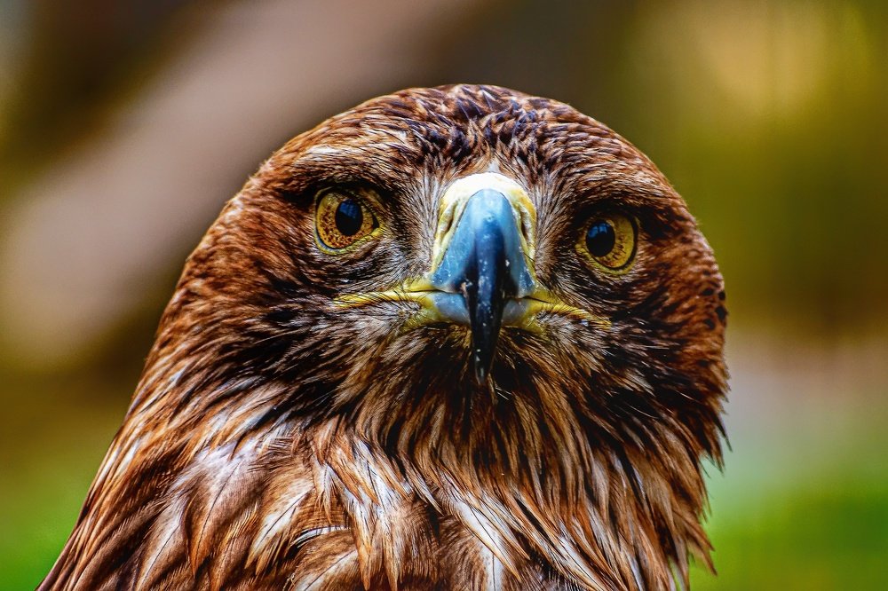 Photograph by Vahid Yavari