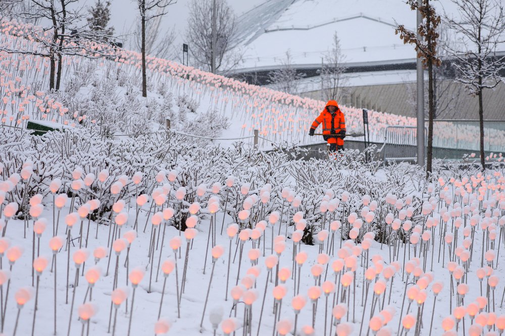 Photograph by Андрей Лысиков