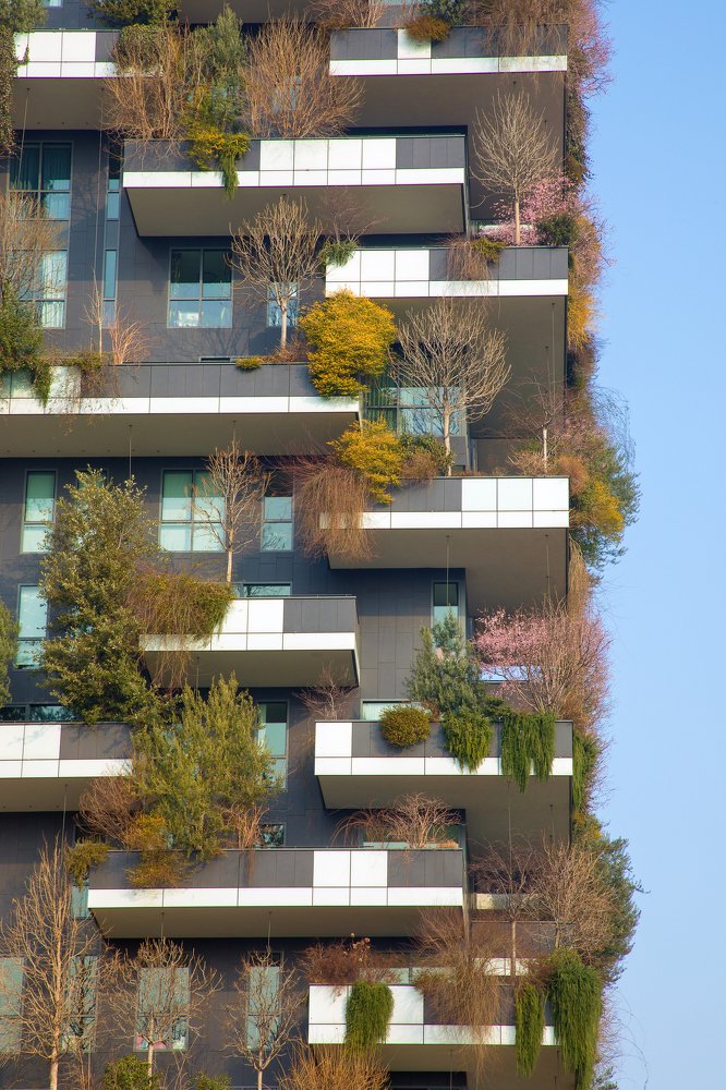 Photograph by Андрей Лысиков