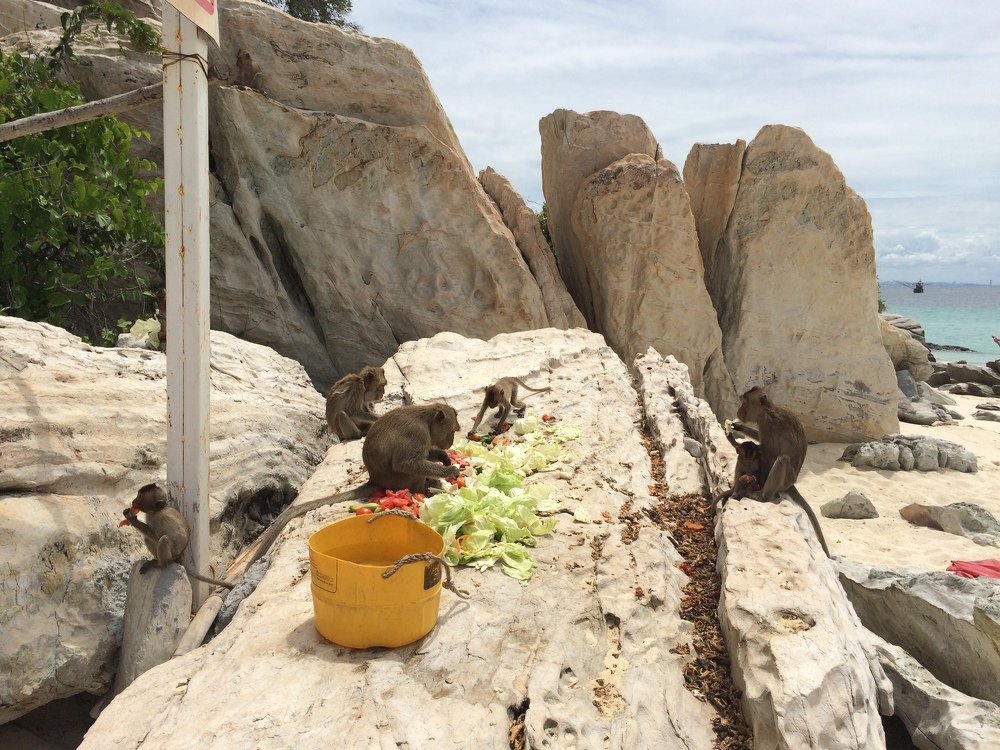 Photograph by Анна