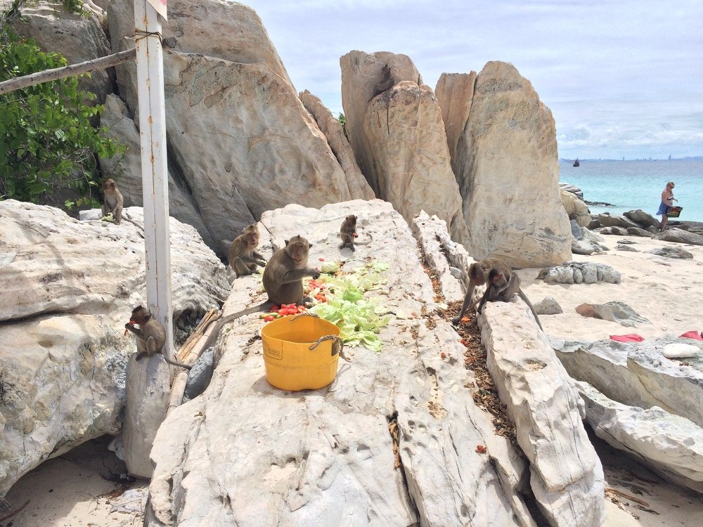 Photograph by Анна