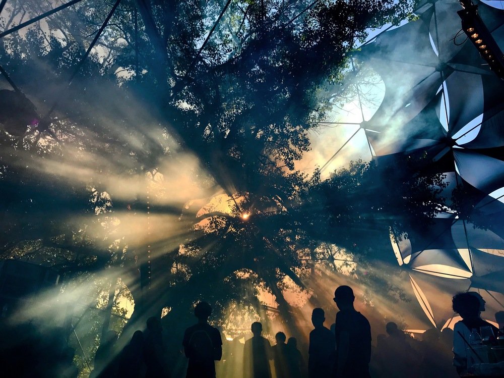 Photograph by tetesh_ka Tetesh Ka