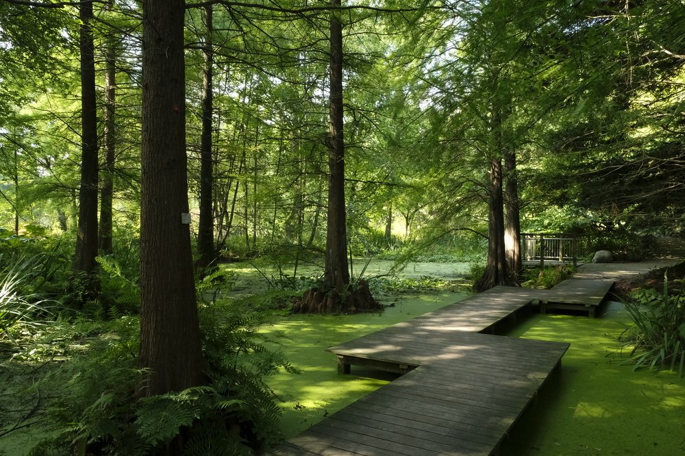 Photograph by tetesh_ka Tetesh Ka