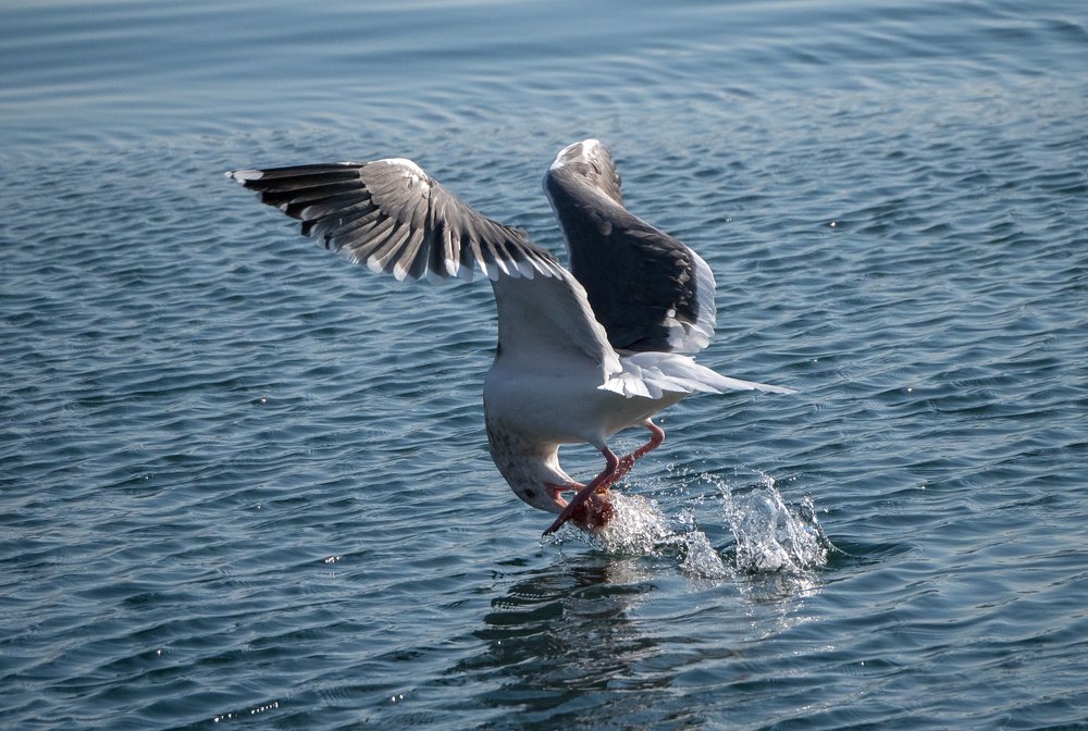 Photograph by Матвей Матвеев