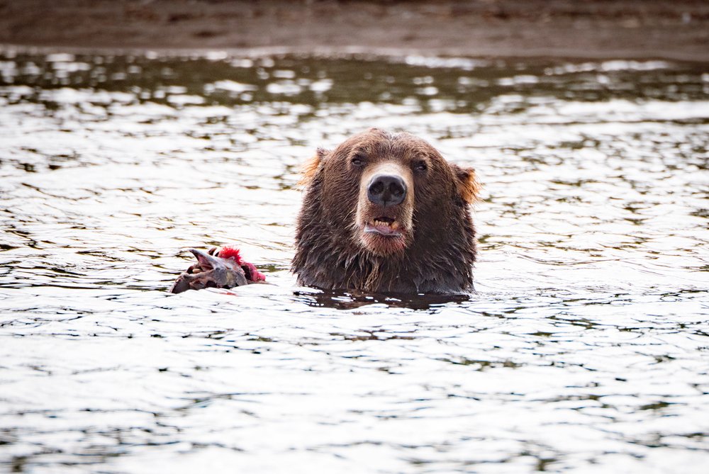 Photograph by Матвей Матвеев