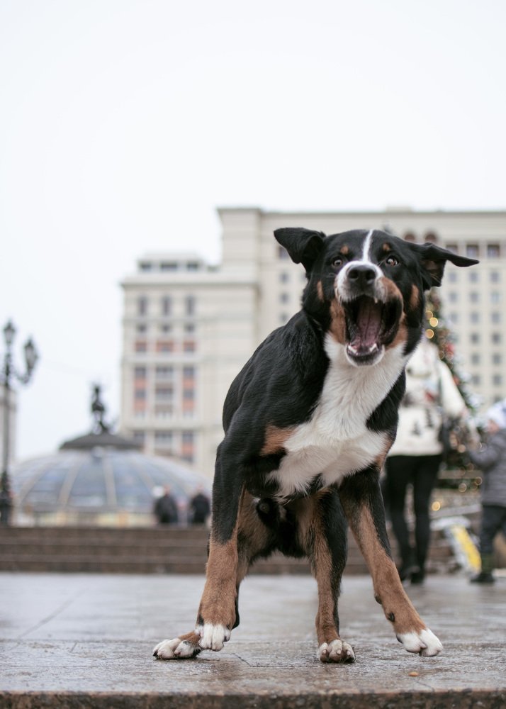 Photograph by Дарья Зайцева