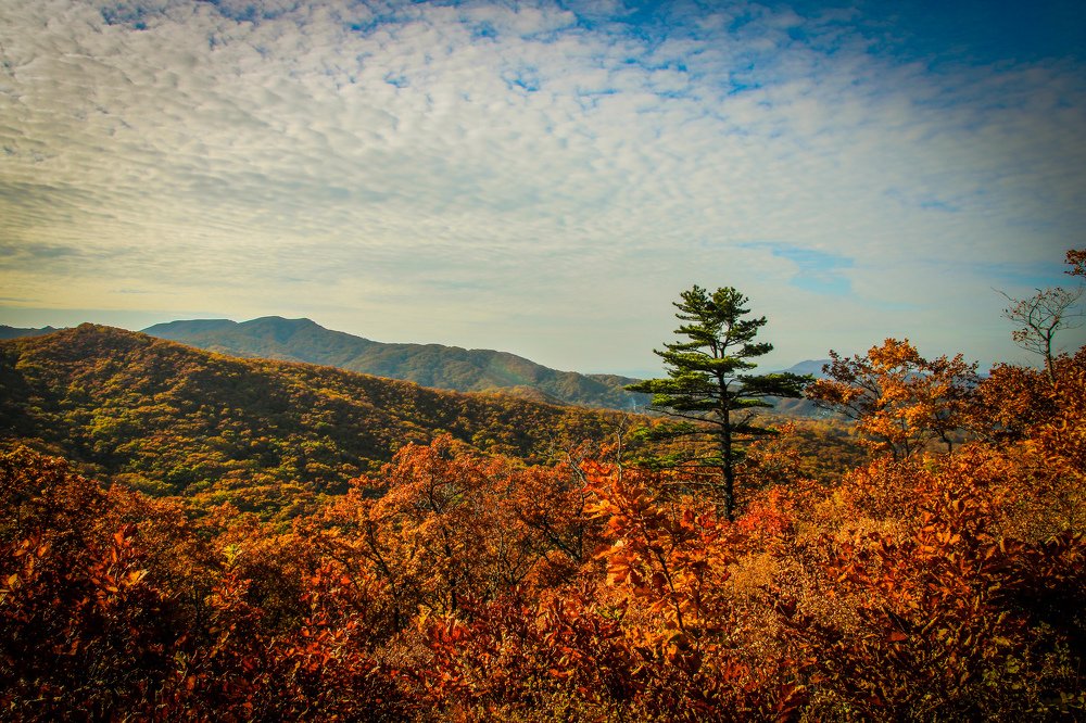 Photograph by Евгений Добрынин