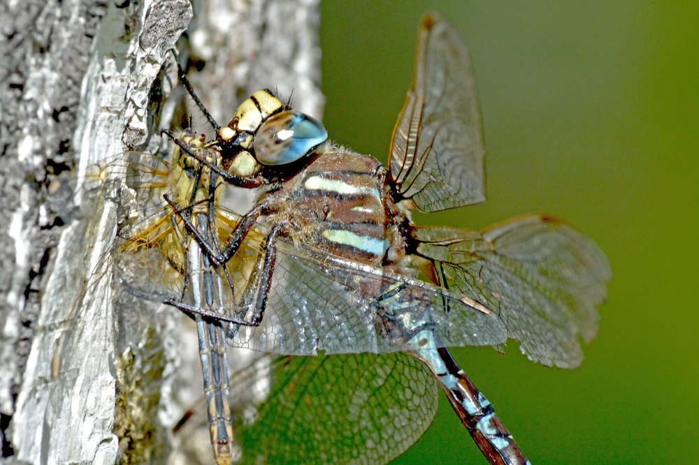 Photograph by сергей поспелов